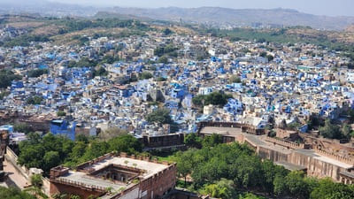 Rajasthan : Vue du ciel d'une ville aux maisons bleues et blanches avec de la verdure au 1er plan