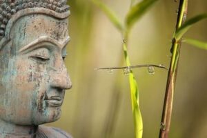 Inde : Profil d'une statue de Bouddha sur un fond d'herbe