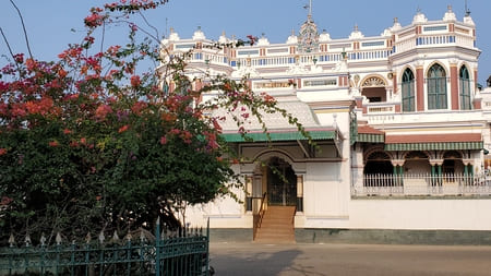 Inde : Un ancien palais repeint en blanc est derrière un arbuste en fleurs