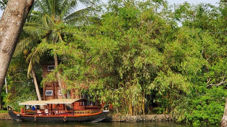 Kérala - Sur fond de verdure et de cocotiers, une grande barque recouverte d'un toit est stationnée