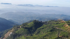 Inde : Vue du ciel d'une colline couverte de plantations de thé au devant de cimes lointaines dans la brume