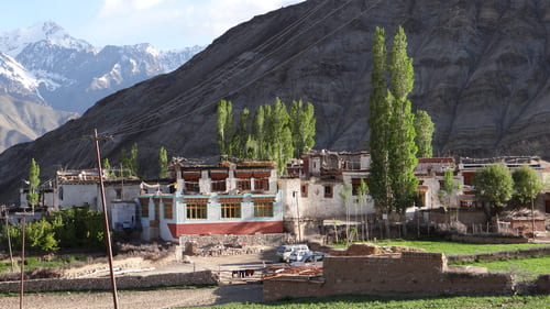 Ladakh : Petit village avec une maison typique du Ladakh au milieu de montagne et de champs verdoyants