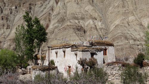 Ladakh : Vieille maison blanche typique du Ladakh avec le foin qui sèche sur la toit. Le tout est enserré par des montagnes rocheuses